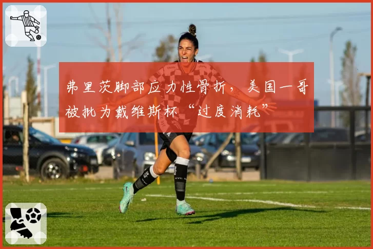 弗里茨脚部应力性骨折,美国一哥被批为戴维斯杯“过度消耗”