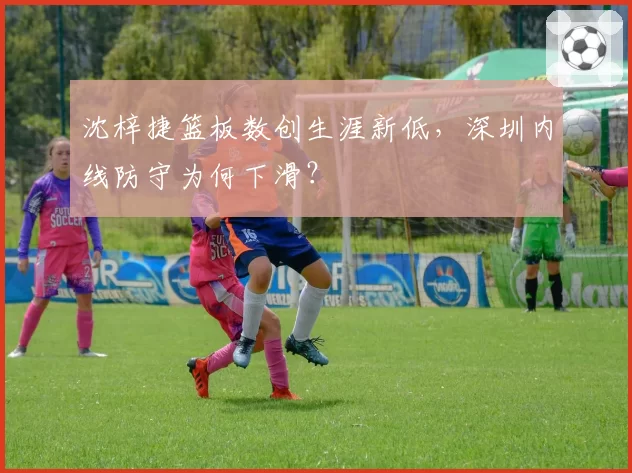 沈梓捷篮板数创生涯新低,深圳内线防守为何下滑?