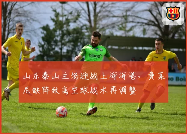 山东泰山主场迎战上海海港，费莱尼缺阵致高空球战术再调整